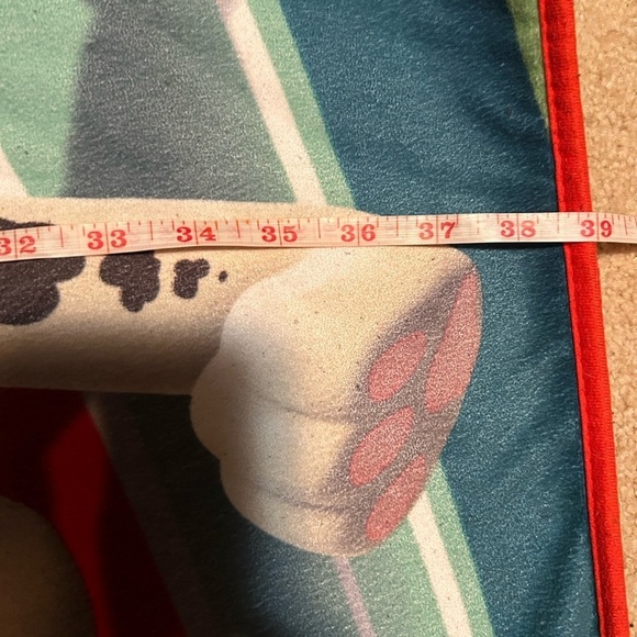 Paw Patrol Rug - Picture 10 of 11